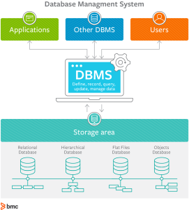 DBMS system schematic