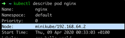 Kubernetes NodePort IP address