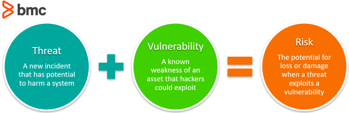 Risk Vulnerability