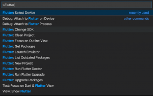 How To Create Your First Flutter App – BMC Software | Blogs