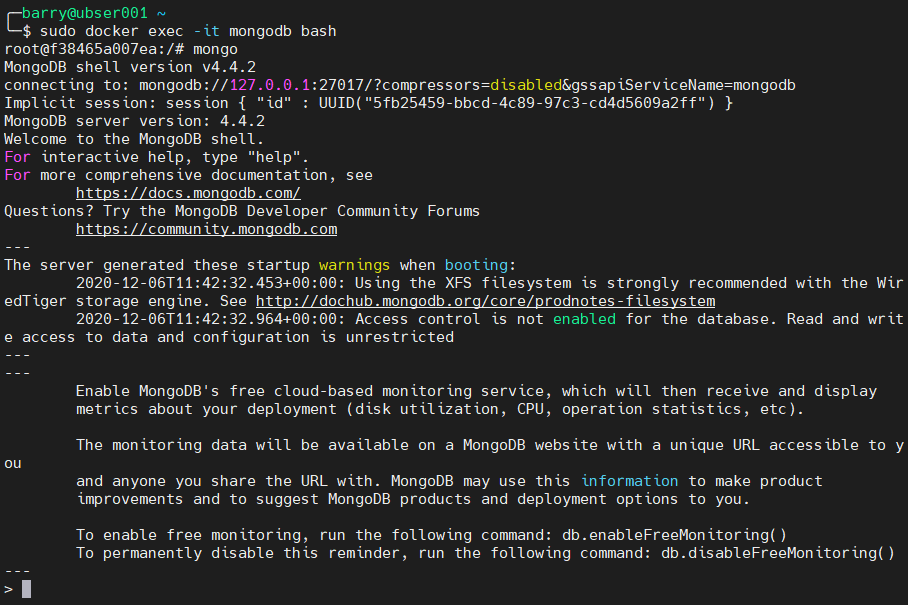 mongodb windows container database location