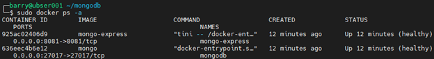 MongoDB Docker 9.2 - PS command