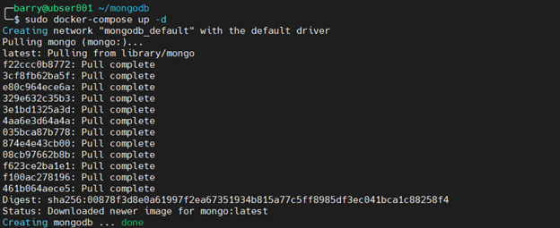 MongoDB Docker 7.3 - recreate Mongo container