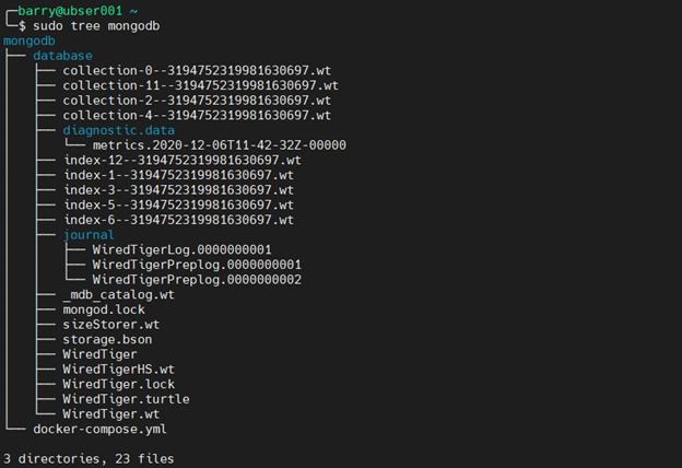 MongoDB Docker 7.2 - verify database files