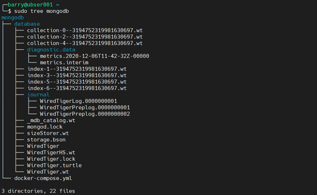 MongoDB Docker 4.6 - verify MongoDb container