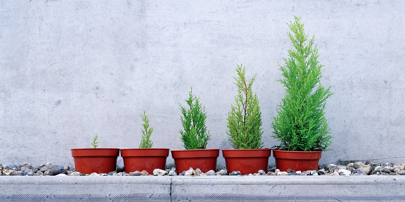 The Spring Framework Beginner’s Guide: Features, Architecture & Getting ...