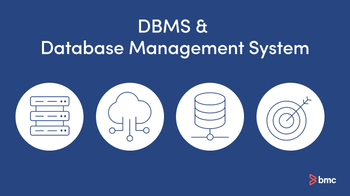 What is a database management system or DBMS?