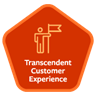 Transcendent Customer Experience