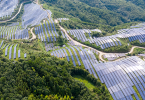 Solar panel farm_1400x700