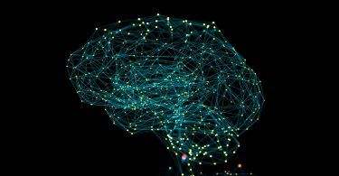 Brain Connectivity AI
