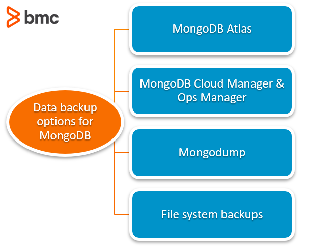 Mongodump and other MondoDB backup options.