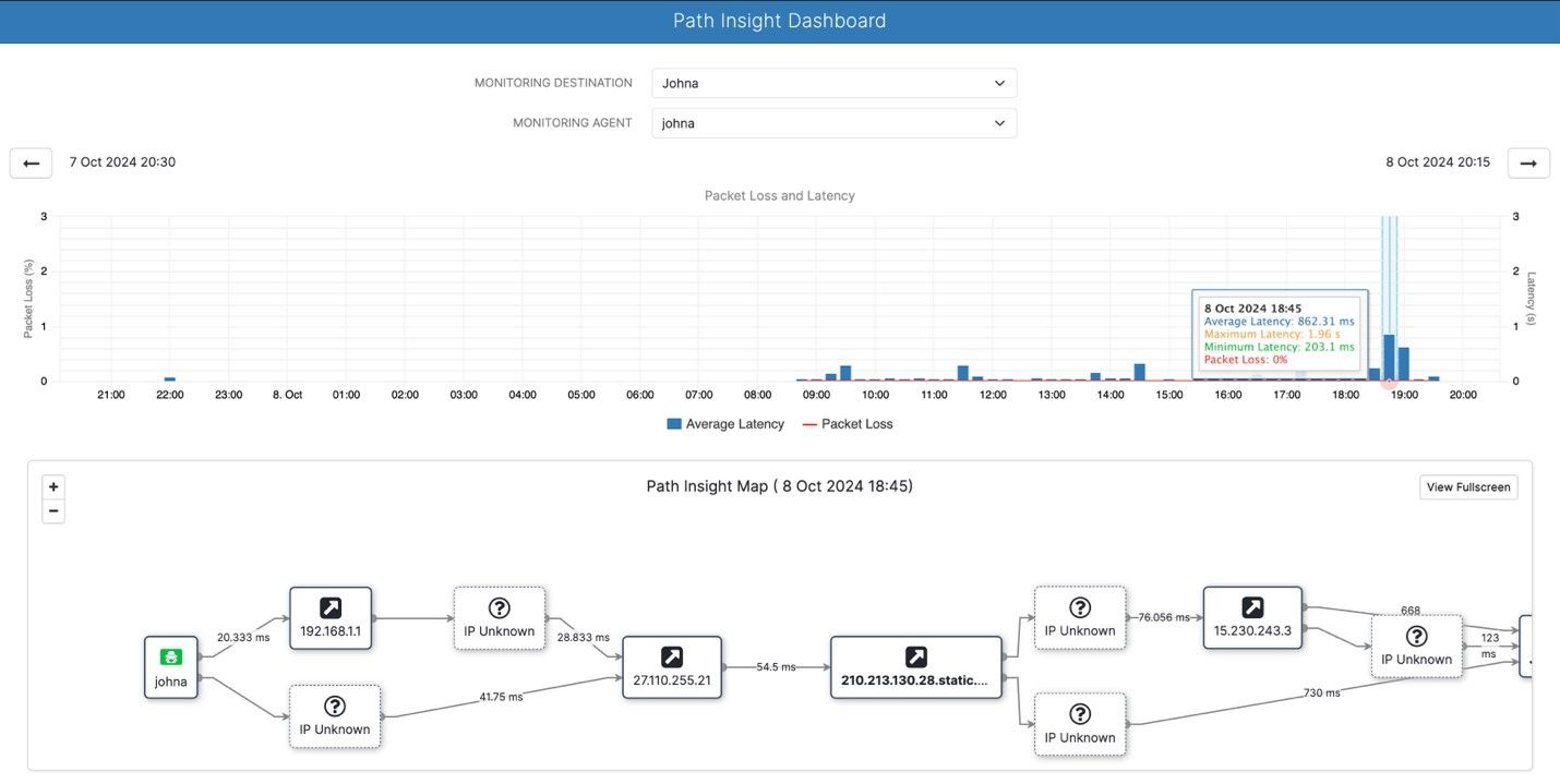 Figure 2. Netreo Path Insight. 