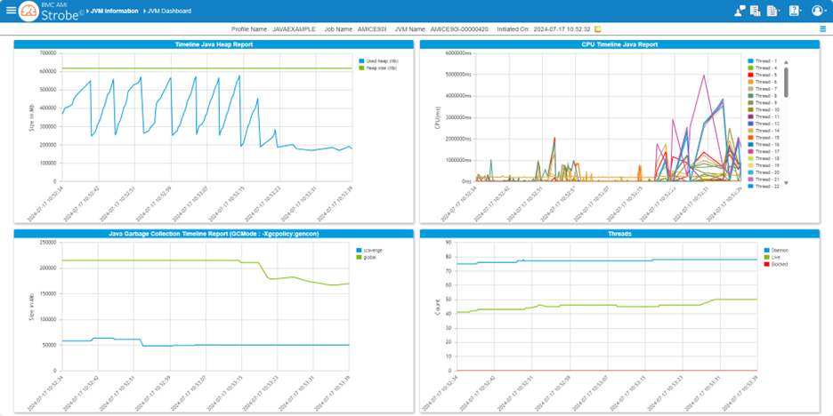 Figure 1. BMC AMI Strobe JVM Dashboard